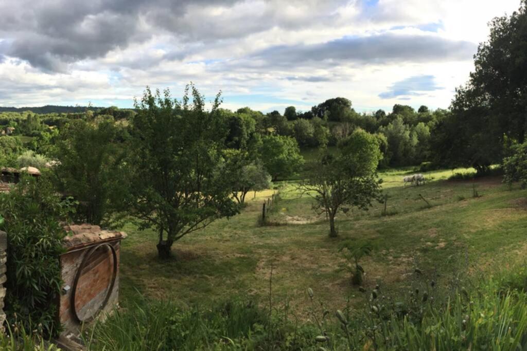 Gite Cocotte Luberon, Forcalquier Pierrerue  Eksteriør billede